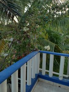 niebiesko-biała poręcz z rośliną w obiekcie Las Palapas de Punta Allen w mieście Punta Allen