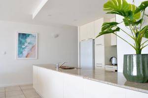 三一海滩Beachfront 3-Bed with Pool & Stunning Ocean Views的厨房配有白色橱柜和盆栽植物