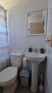 uma casa de banho com um WC, um lavatório e um espelho. em Refugio Pucalan Lodge em Puchuncaví