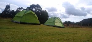 zwei grüne Zelte auf einem Feld in der Unterkunft Villas de Sanjuan in Suesca