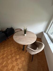 un tavolo con una pianta in vaso e due sedie di Flat @Mechelen centrum a Mechelen