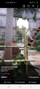 a picture of a giraffe in a zoo at Paradise Guest House in Agadir