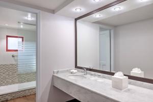 Koupelna v ubytování Four Points by Sheraton Santiago