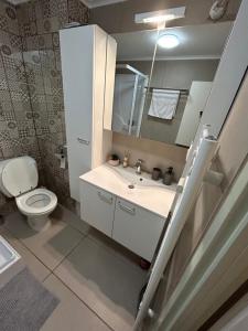 bagno con servizi igienici, lavandino e specchio di Flat @Mechelen centrum a Mechelen
