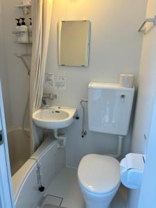 małą łazienkę z toaletą i umywalką w obiekcie Guesthouse Fujinokura Kawaguchiko Ekimaeten w mieście Fujikawaguchiko
