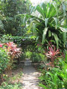 Un jardín fuera de Hotel Chillies and Native Sons Diving