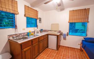 Una cocina o kitchenette en Hotel Chillies and Native Sons Diving