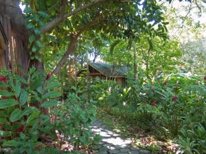 Un jardín fuera de Hotel Chillies and Native Sons Diving