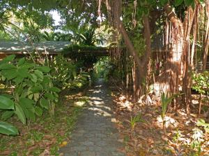 Un jardín fuera de Hotel Chillies and Native Sons Diving