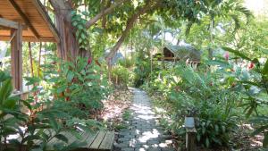 Un jardín fuera de Hotel Chillies and Native Sons Diving