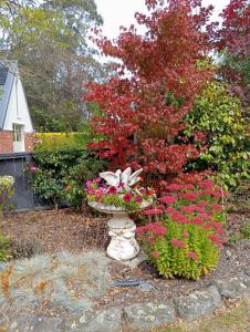 Zahrada ubytování Kingsdown Manor B&B Timaru