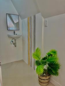 uma casa de banho com um lavatório e um vaso de plantas em Villa Lovi Panagsama Beach Moalboal em Moalboal
