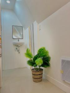 a bathroom with a potted plant in a room at Villa Lovi Panagsama Beach Moalboal in Moalboal