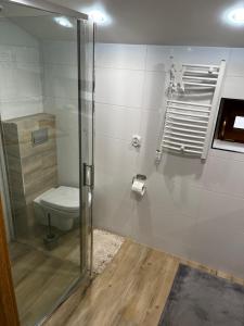 a bathroom with a toilet and a glass shower at Jaromierz Dom nad jeziorem in Jaromierz