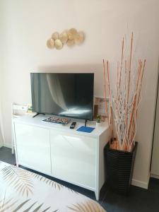 TV a/nebo společenská místnost v ubytování Bloom Apartment