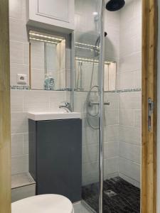 a bathroom with a shower with a toilet and a sink at Strasbourg quartier de l’orangerie in Strasbourg