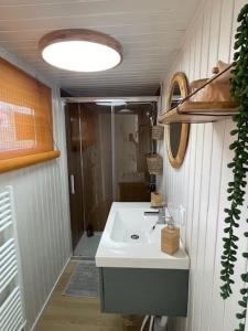 ein Badezimmer mit einem weißen Waschbecken und einer Dusche in der Unterkunft Gîte Seine & Nature Le Capitaine in Bennecourt