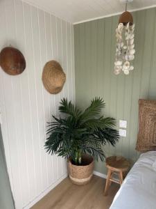 ein Schlafzimmer mit einer Pflanze in einem Zimmer in der Unterkunft Gîte Seine & Nature Le Capitaine in Bennecourt