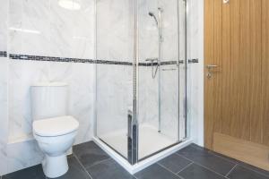 a bathroom with a toilet and a shower at Maelfa Crannog Isaf Llangrannog in Llangranog