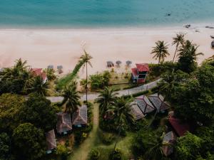 - une vue aérienne sur une plage avec des maisons et des palmiers dans l'établissement 1511 Coconut Grove, à l'Île Tioman