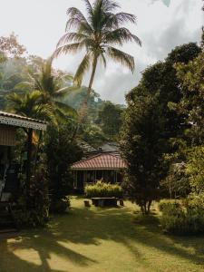 ein Haus mit einer Palme im Hof in der Unterkunft 1511 Coconut Grove in Tioman Island