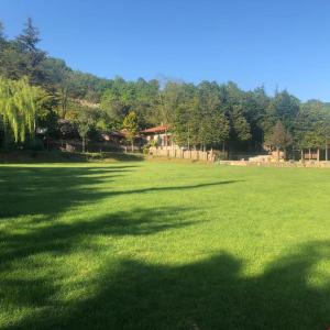 un gran campo de césped verde con árboles en el fondo en Hermes Country Club, en Beykoz