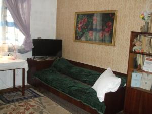 トゥルゴヴィシテにあるDaneto Apartmentのリビングルーム(緑のソファ付)
