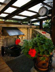 Gallery image of Muschel Panzió in Keszthely