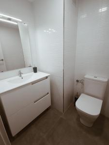 洛格羅尼奧的住宿－Duplex labradores centro 8PAX, PARKING INCLUIDO，一间带卫生间、水槽和镜子的浴室