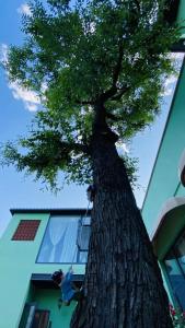 住宿加早餐旅馆所在大楼