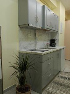 a kitchen with white cabinets and a potted plant at Black Eagle's Nest (studio) in Drama