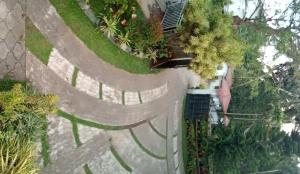 an overhead view of a garden with plants at Power Zone Guest House in Matale