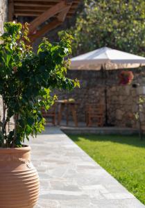 Gallery image of Lithos Villas Apollon in Sikia