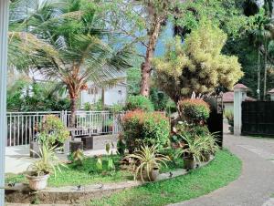 um jardim com plantas e árvores e uma cerca em Power Zone Guest House em Matale