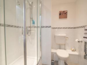 a white bathroom with a shower and a toilet at Eirlys Llanrhystud in Llanrhystyd