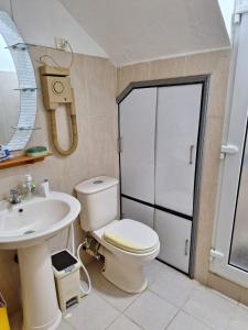 a bathroom with a toilet and a sink at Sea Lilly Beach in Palmar