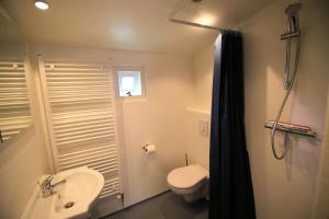 a bathroom with a white toilet and a sink at Zeer ruim 6-persoons vakantiehuis met overdekte veranda in Epe