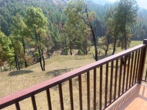 Příroda nedaleko bed and breakfast