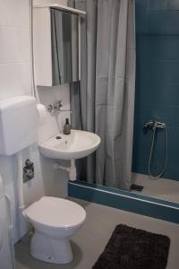 een badkamer met een toilet, een wastafel en een douche bij Panorama Osijek in Osijek