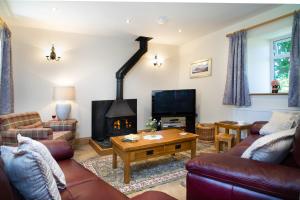 ein Wohnzimmer mit einem Kamin und einem TV in der Unterkunft Towy Cottage Cenarth in Cenarth