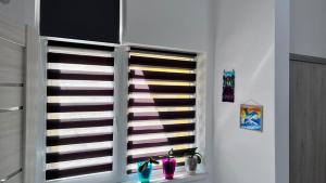 Fotografie z fotogalerie ubytování Summer Vibe - Apartament la curte v destinaci Constanţa