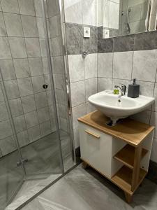 a bathroom with a sink and a shower at Apartmány Loky in Košice