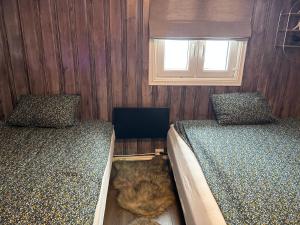 a bedroom with two beds and a cat laying on the floor at Beautiful Cabin by Mjøsa. in Stange