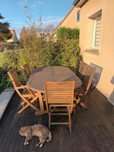 Fotografie z fotogalerie ubytování Appartement tout confort v destinaci Le Fresne-Camilly