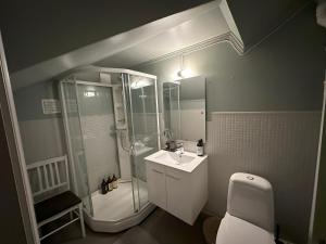 a bathroom with a shower and a sink and a toilet at Stort hus sentralt i Lillehammer in Lillehammer