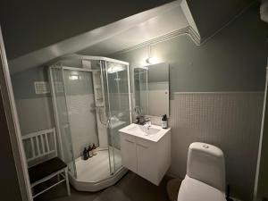 a bathroom with a shower and a sink and a toilet at Stort hus sentralt i Lillehammer in Lillehammer +8 photos