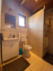 a bathroom with a toilet and a sink at Widok i Wino Winnica Lipowiec in Lipowiec +79 photos