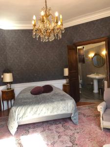 Schlafzimmer mit einem Bett und einem Kronleuchter in der Unterkunft Château de la Cazette in Sisteron