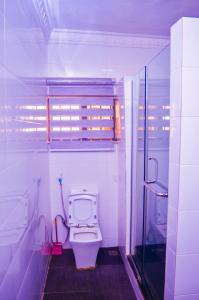 a white bathroom with a toilet and a shower at Owee Hotel Exclusive Apartments & Suites in Lagos