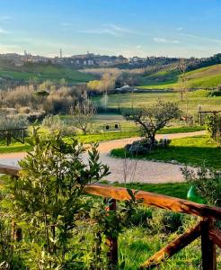 a view of a park with a bench in the grass at Agriturismo La Corte del Sole in Siena